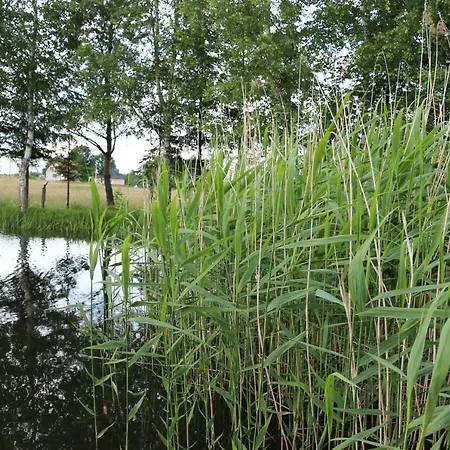 Wydrza-przystan Mirsk