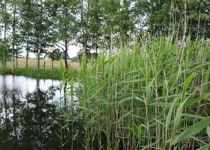 Wydrza-przystan Mirsk